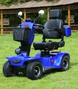 WPS-Single Golf Cart 
