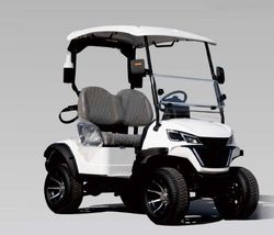 Golf Cart 2 Seater 