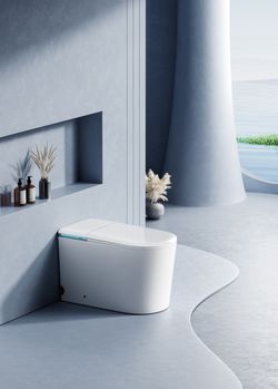 Smart Toilet G6FD