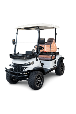 Golf Buggy 2 Seater Premium