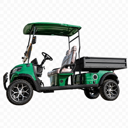EV Cargo 1500 Utility Vehicle 