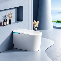 Smart Toilet G6FD